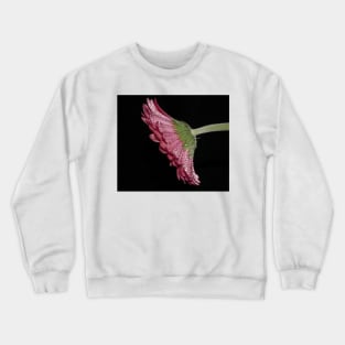 Pink Gerbera Daisy Crewneck Sweatshirt